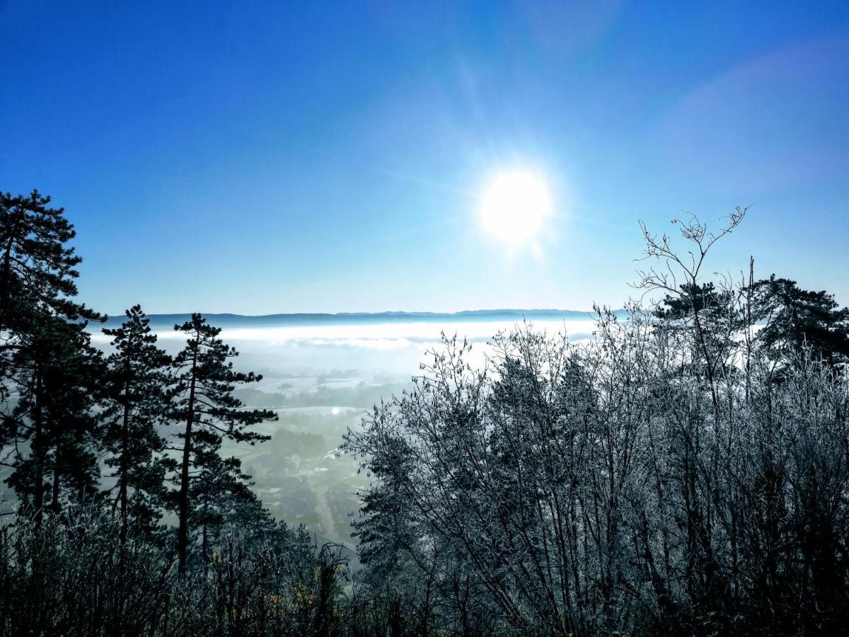 Appartement La Bernardine Au Coeur Du Jura Orgelet Exteriör bild